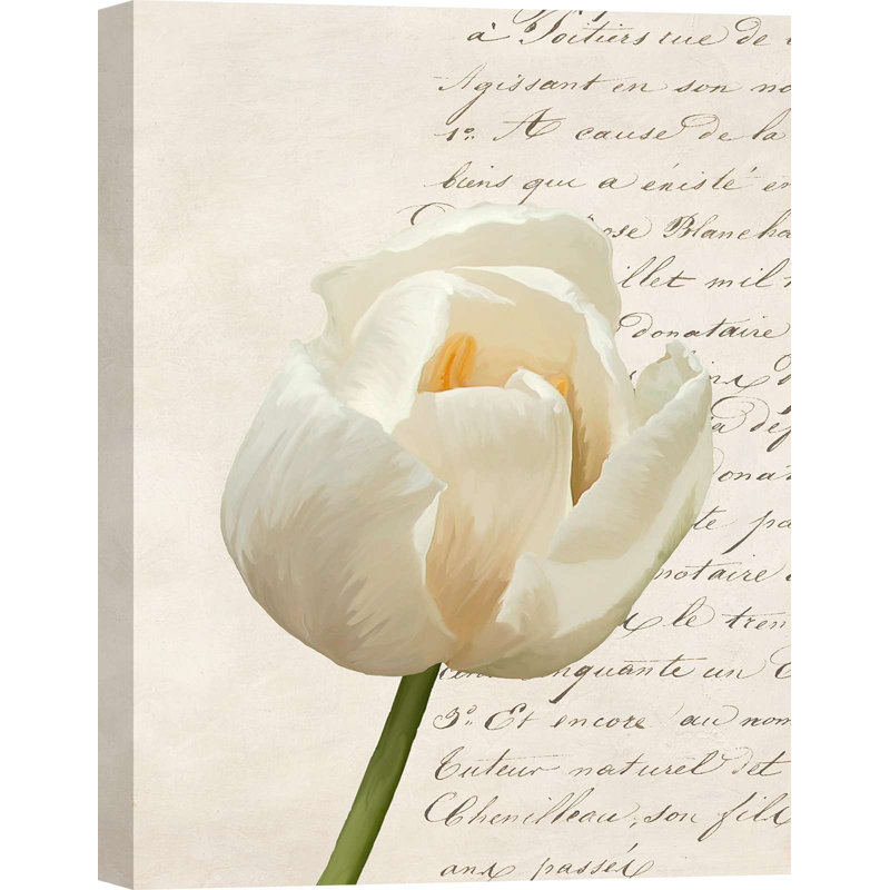 " Flowers: Tulip III" By Elena Dolci, 100cm H x 70cm W