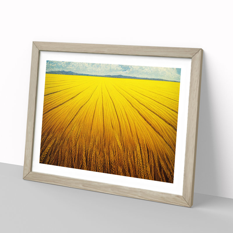 Contemporary Wheat Field - Framed Print, 34cm H x 46cm W x 2cm D, Oak