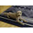 Kivett Caliente Navy and Ivory Indoor Outdoor Machine Washable Area Rug-1706871825