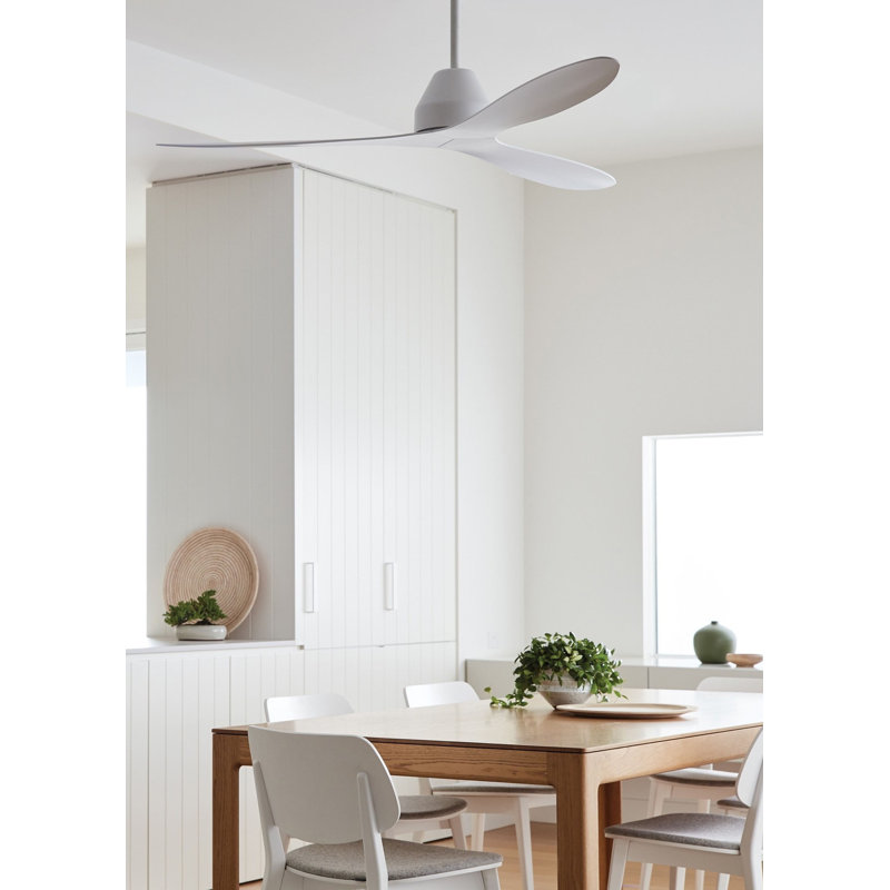 Aalyna 142cm Ceiling Fan, White