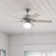 52" Viola 5 - Blade Standard Ceiling Fan with Pull Chain and Light Kit Included