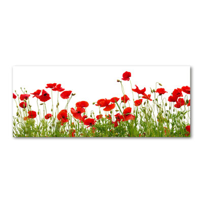 Maki - Wrapped Canvas Print