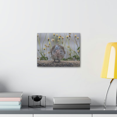 Wall Art on Canvas