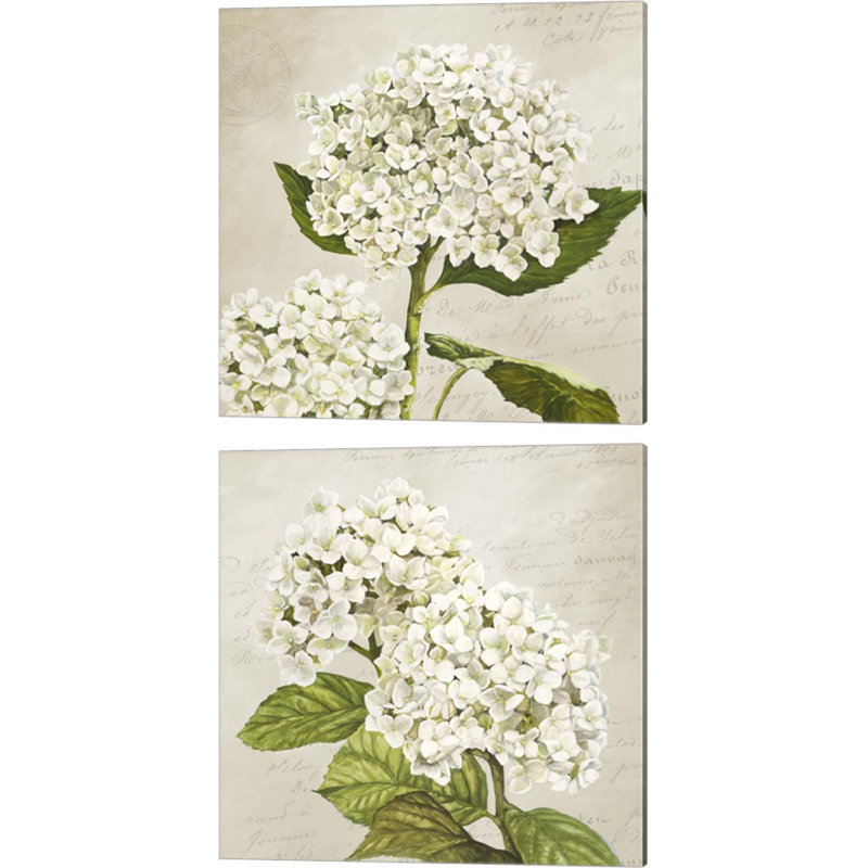 «Hydrangeas (Neutre)» par Remy Dellal, art sur toile (ensemble de 2)