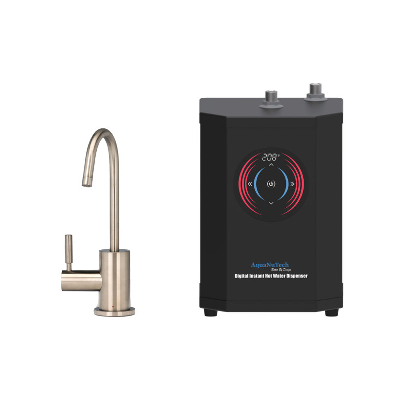 AquaNuTech Kitchen Faucet, Polished Nickel