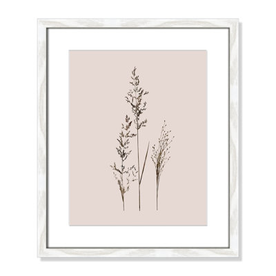 Delicate Stems I by Carol Robinson - Single Picture Frame Print -  Birch Lane™, 91F0524C5A5D4685B1C161317903F67D