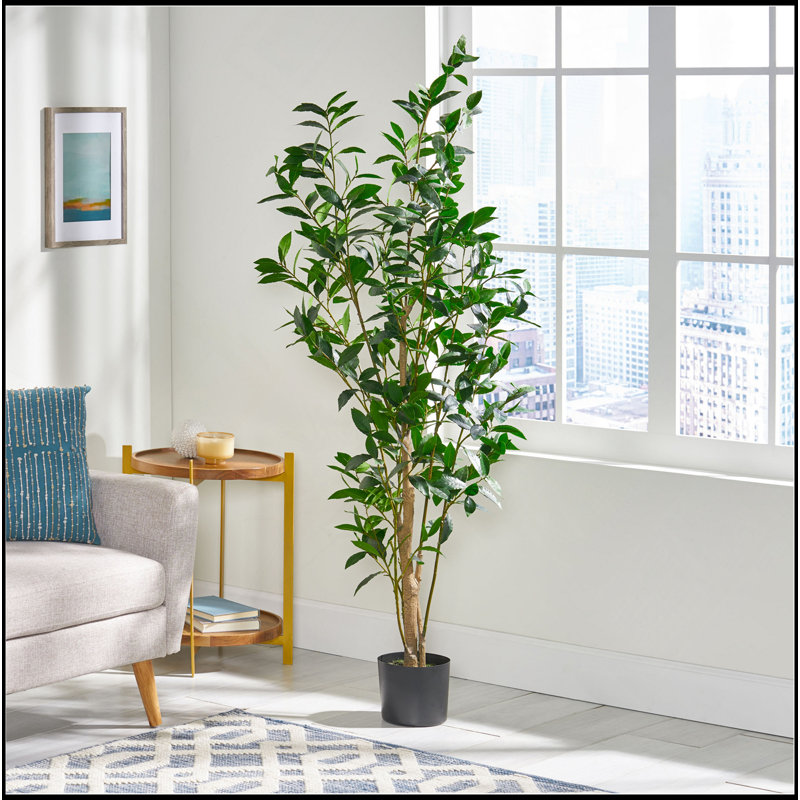 ARTIFICIAL LAUREL TREE, 64" H x 24" W x29" D