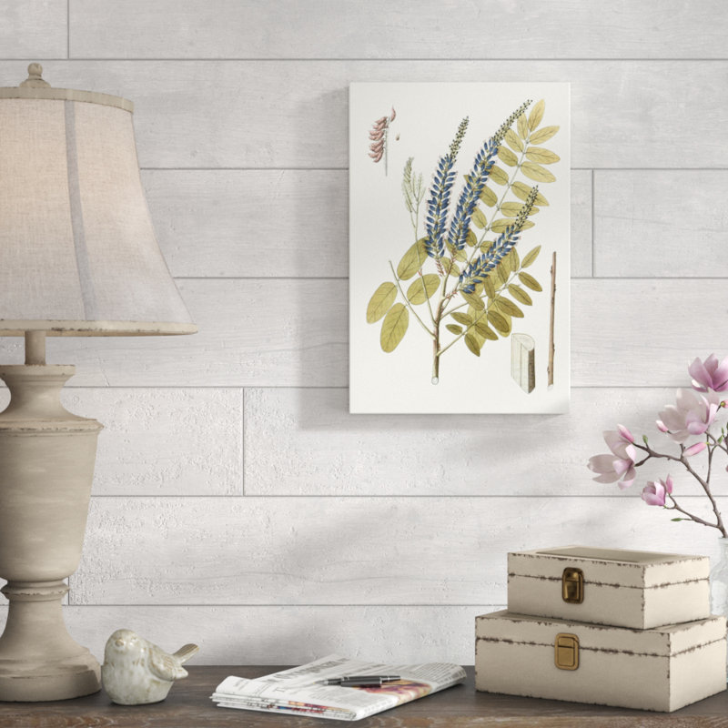Lacy Leaves II by Unknown - Painting Print, 46cm H x 30cm W, Wrapped Canvas