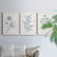 Indigo Botany Study IV - Ensemble de 3 peintures sur toile encadrées-116087745-116087746