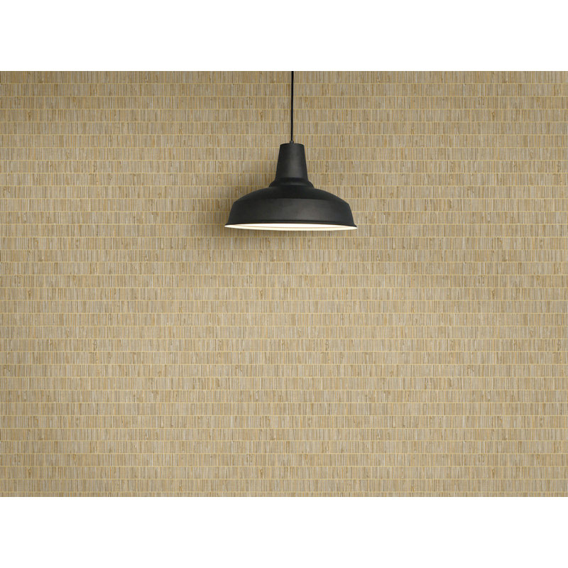 Rouleau de papier peint en vinyle gaufré L 27 pi x l 27 po, Ginseng