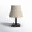Daina Metal USB Desk Lamp