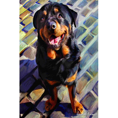 Beau rottie