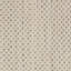 Tapis intérieur / extérieur ivoire / argent Anastasia-111307782