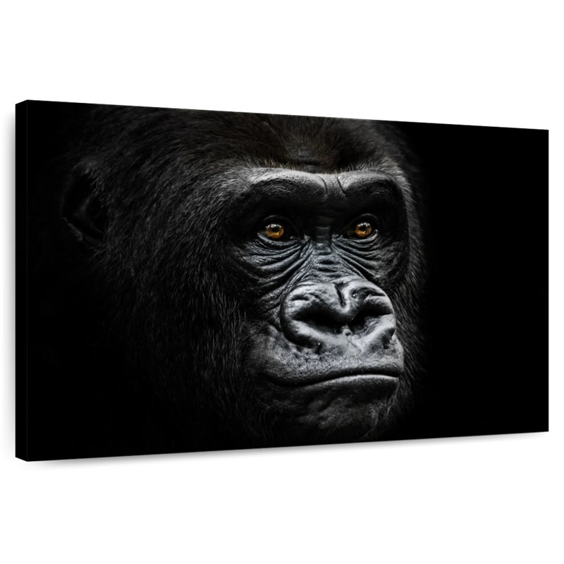 Gorilla Portrait Close Up, 26" H x 39" W