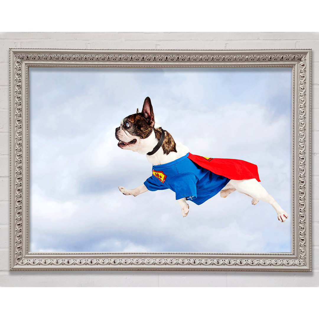 Super Dog Skies - Druck