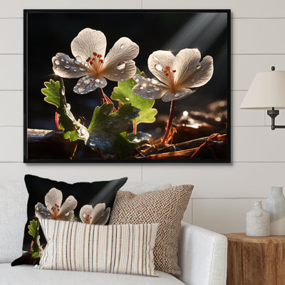 " Grey Geraniums Field III "