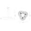 Mytilus 3-Light Chandelier