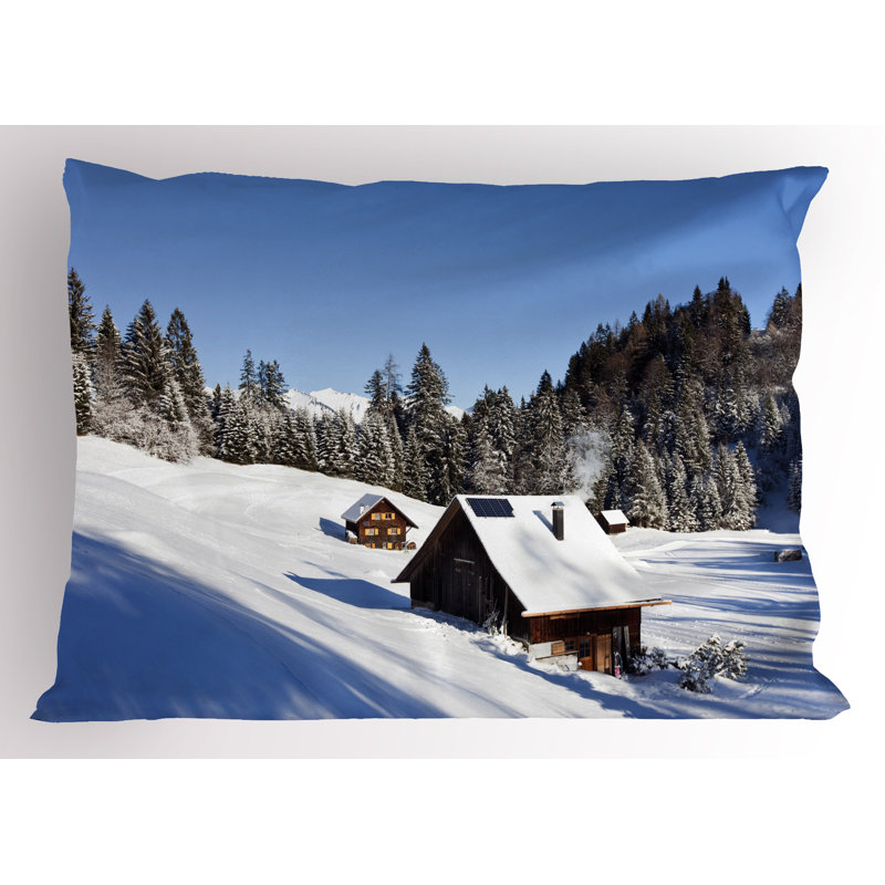 Ensemble de 2 taies décoratives Ambesonne Winter, H 20 po x l 26 po