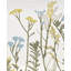 Lenox Wildflowers Hors D'Oeuvres Tray