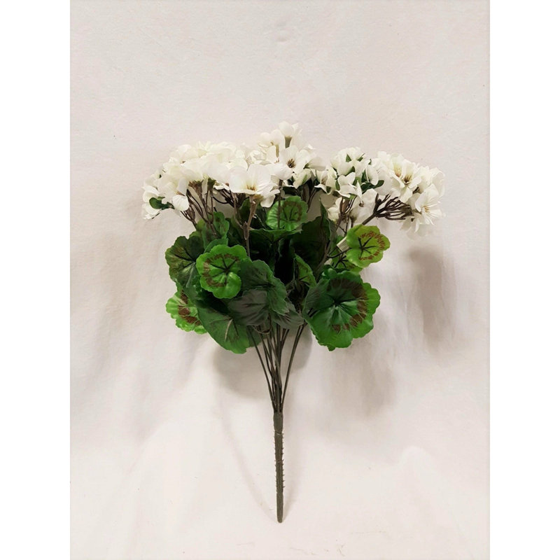 Tige de géranium, Blanc