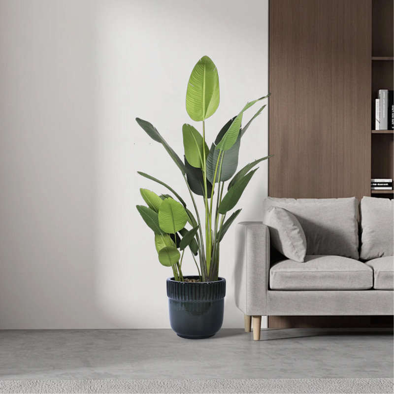 Ensemble de pots à fleurs en céramique fait à la main de 3, 15/14/9 pouces de diamètre, motif à nervures noires, pour les plantes grasses d'intérieur / extérieur sur un rebord de fenêtre et une bibliothèque, argile respirante