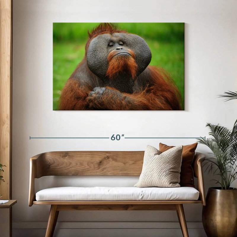 Bossy Orangutan, 30" H x 45" W