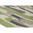 Flatweave Wool Indoor Rug