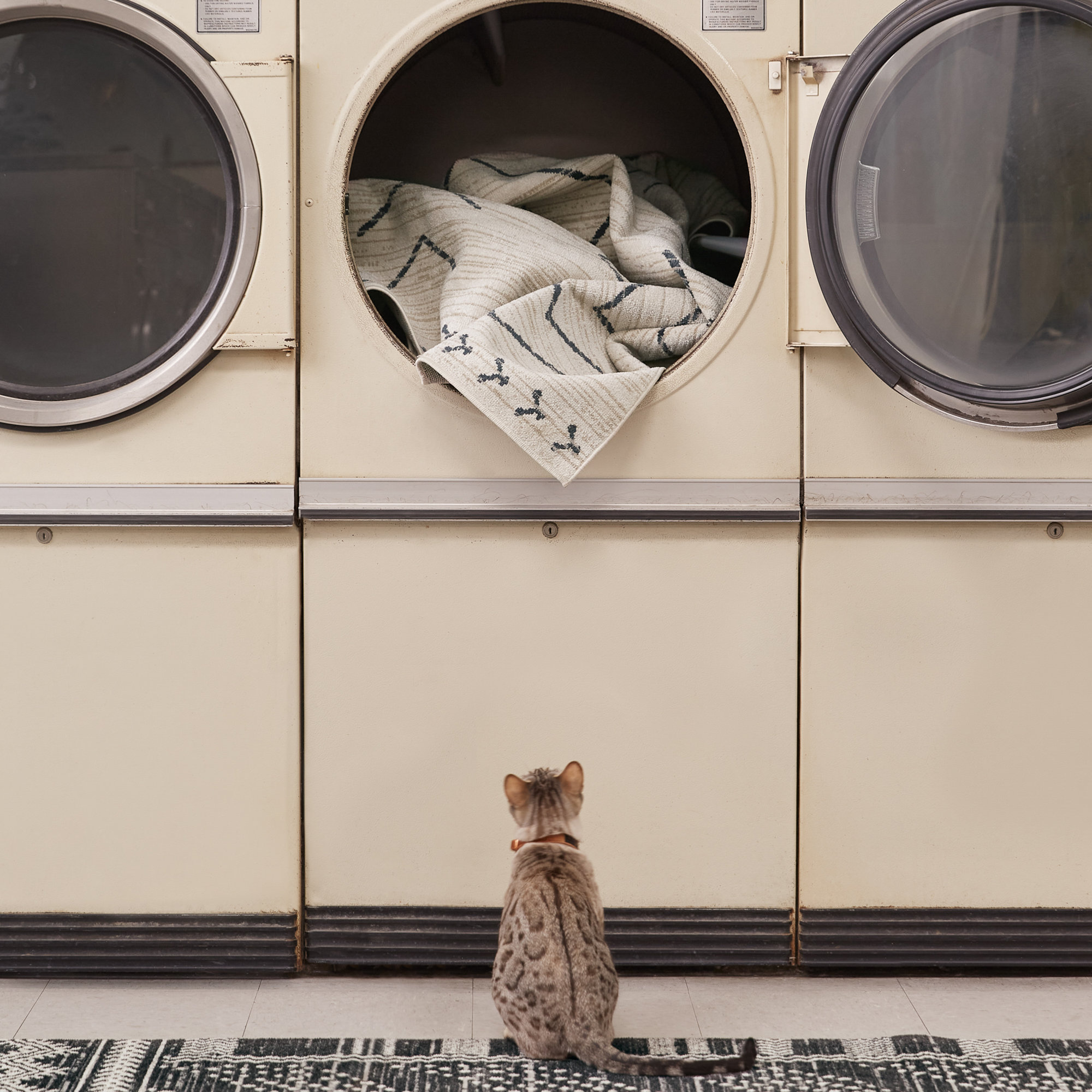 Phoebe Cream/Dark Slate Rug, Runner 2' x 6'