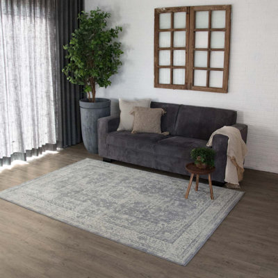 Anndale Oriental Hand Woven Area Rug