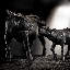 Animals Decorative Object