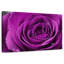 Gouttelettes Harnek sur rose mauve-107528813