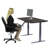Uncaged Ergonomics Rise Up 48" x 30" Dual-Motor Electric Standing Desk - Height Adjustable Sit-Stand Desk with Memory Presets, Black MDF Top, Gray Frame-86567240-86567236