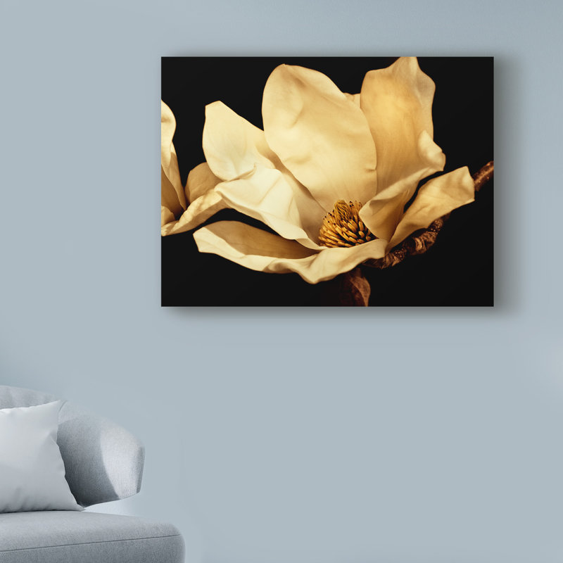 « crème au beurre magnolia i », reproduction de photo sur toile tendue, H 14 po x l 19 po x P 2 po