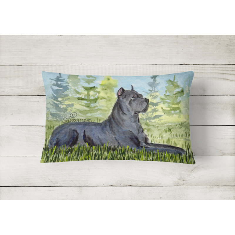 Coussin décoratif intérieur/extérieur corso canne