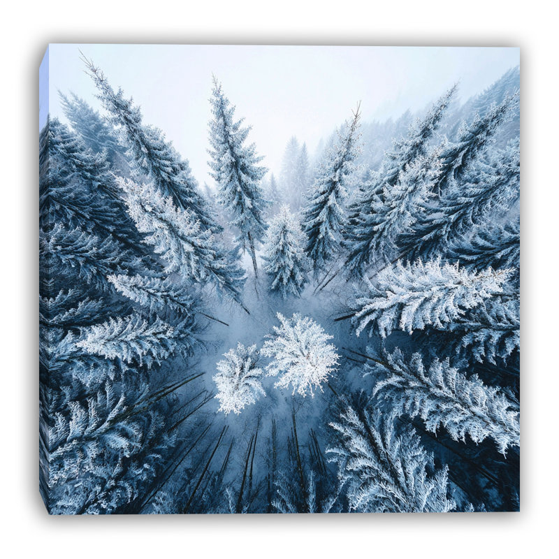 Art mural sur toile Frosted Forest, H 20 po x l 20 po