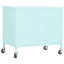Storage Cabinet Freestanding File Cabinet with Shelves for Office Steel-1048879505