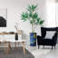 66 plantes-97701027