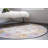 Oriental Indoor Rug-1912944852