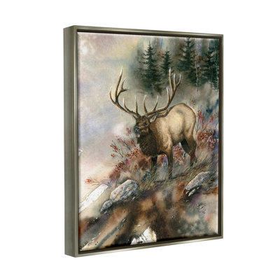 " Elk Woodland Slope Clearing "
