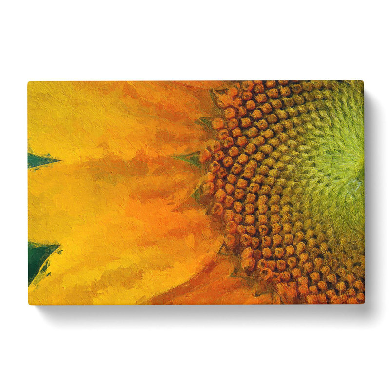 Petals Of The Yellow Sunflower - Wrapped Canvas, 50cm H x 76cm W x 3cm D