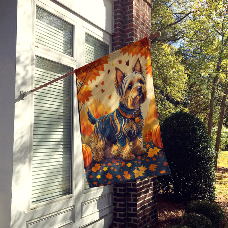 Drapeau Silky Terrier Fall House