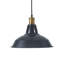 Luminaire suspendu noir à 1 lumière Saisha