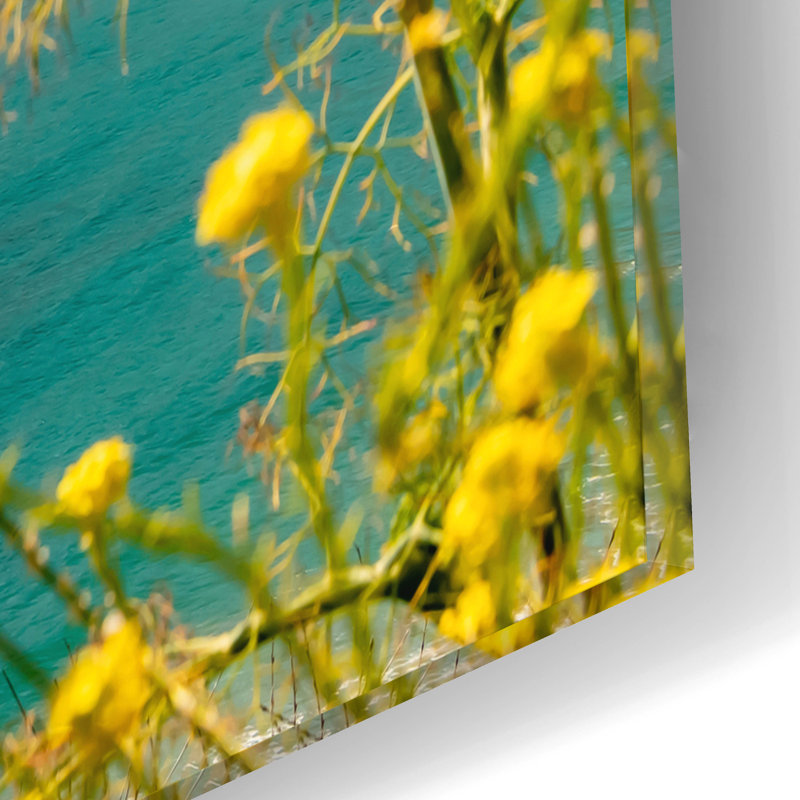  «Big Sur The Road Of Inspiration» par Elena Chukhlebova, art mural en verre acrylique, 16 po x 12 po