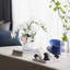 Roudy Arrangement-1752414518