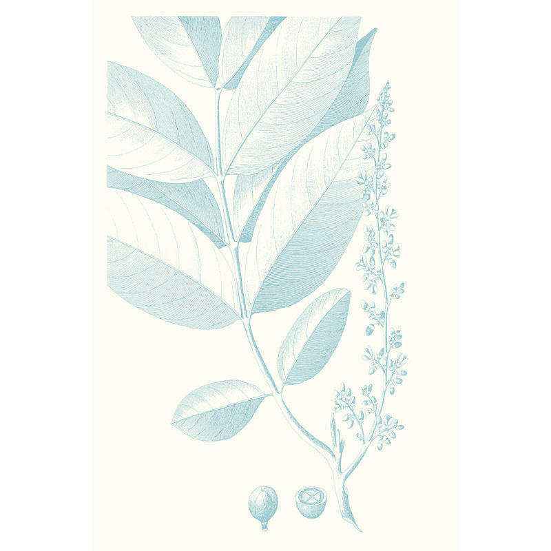 Botanical Study In Spa VI, 46cm H x 30cm W x 3.8cm D
