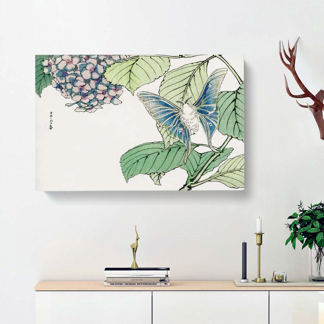 Moth & Hydrangea by Morimoto Toko - Wrapped Canvas