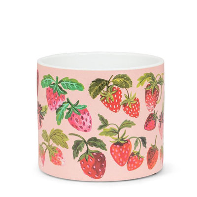 Large Strawberry Patch Planter