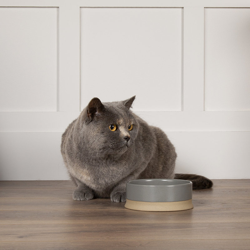 Scruffs Scandi Collection 28.156ml Pet Bowl