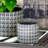 Rivet Pattern Pot-105757638