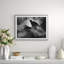 Ski-Jumper Giclee Print by Getty Images